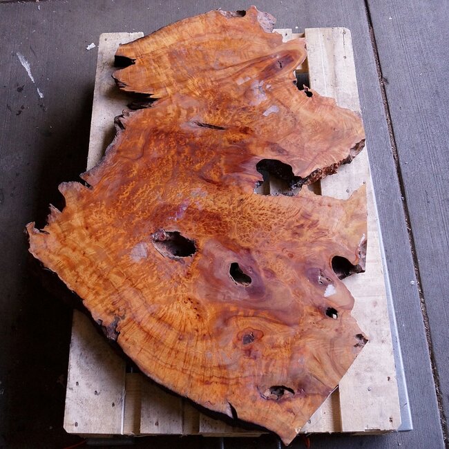 Kampfer Tischplatte, ca. 1200 x 750 x 38/50 mm, 31 kg, 11083