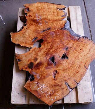 Camphor table top, approx. 1200 x 750 x 38/50 mm, 31 kg, 11083