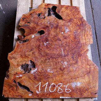 Kampfer Tischplatte, ca. 1000 x 750 x 48 mm, 35 kg, 11086