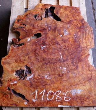 Camphor table top, approx. 1000 x 750 x 48 mm, 35 kg, 11086