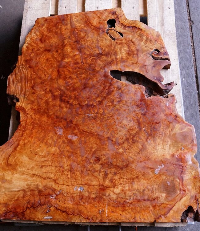 Camphor table top, approx. 1000 x 750 x 48 mm, 35 kg, 11086