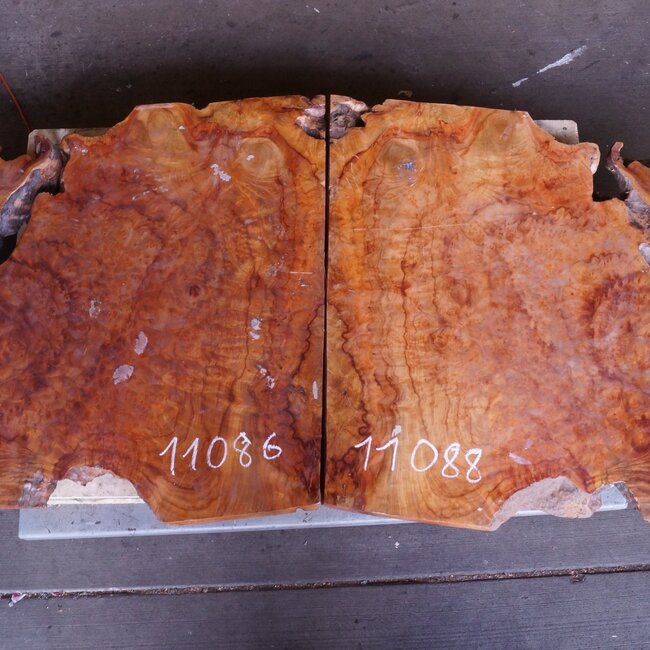 Kampfer Tischplatte, ca. 1000 x 750 x 48 mm, 35 kg, 11086