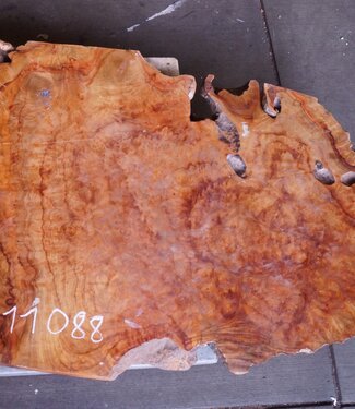 Kampfer Tischplatte, ca. 1000 x 750 x 48 mm, 37 kg, 11088