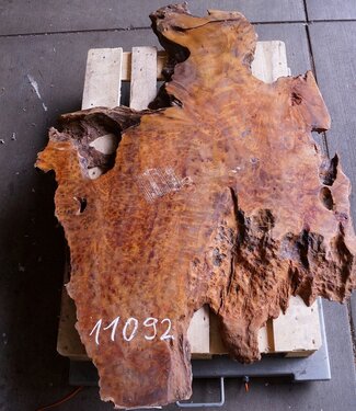 Camphor table top, approx. 1500 x 950 x 75/60 mm, 52 kg, 11092