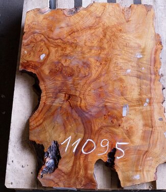 Camphor table top, approx. 900 x 600 x 43/50 mm, 27 kg, 11095