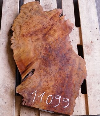 Camphor table top, approx. 850 x 450 x 60/50 mm, 16 kg, 11099