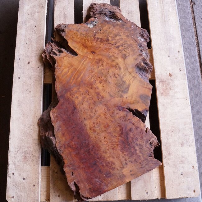 Kampfer Tischplatte, ca. 850 x 450 x 60/50 mm, 16 kg, 11099