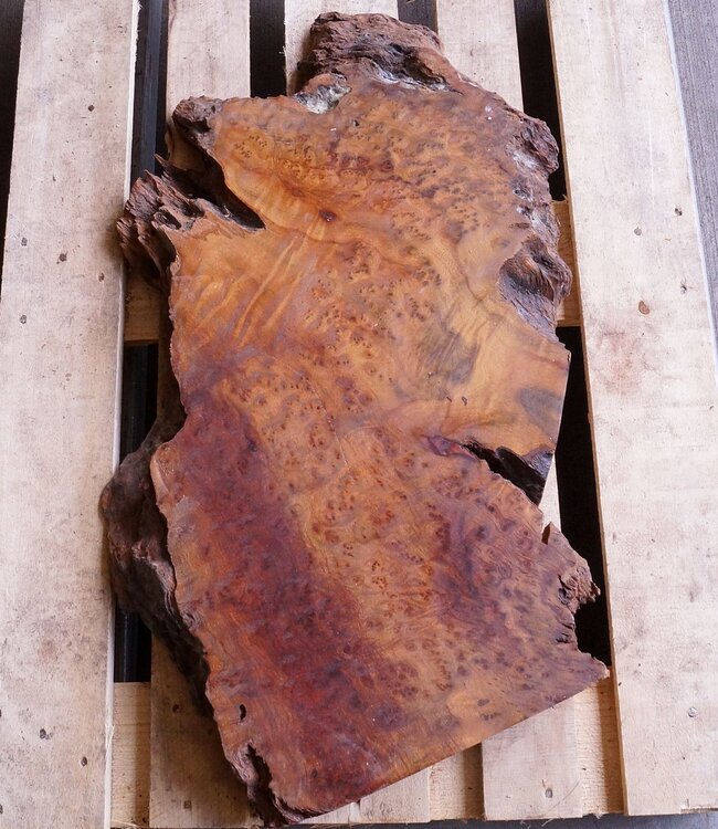 Kampfer Tischplatte, ca. 850 x 450 x 60/50 mm, 16 kg, 11099