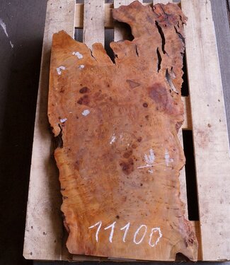 Camphor table top, approx. 1100 x 530 x 45 mm, 20 kg, 11100