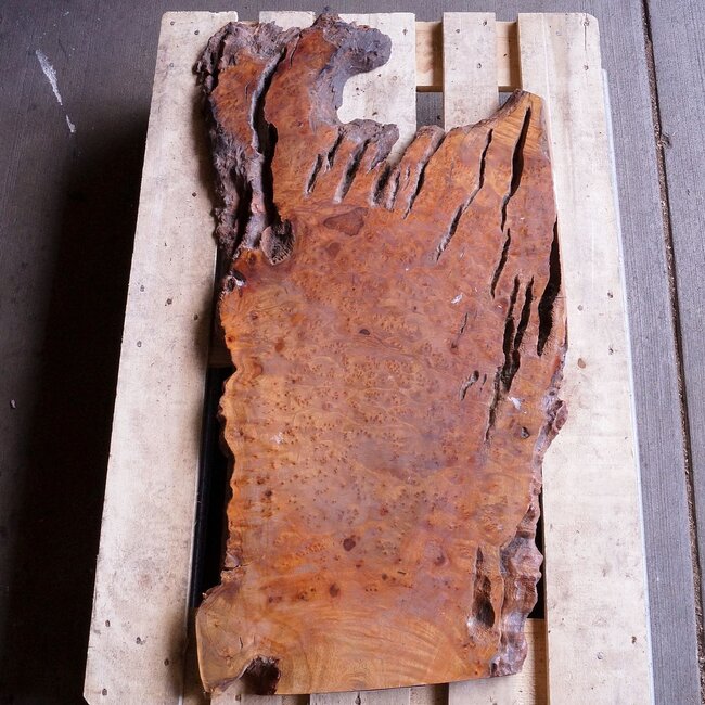 Kampfer Tischplatte, ca. 1100 x 530 x 45 mm, 20 kg, 11100