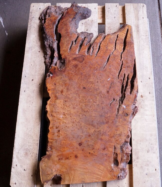 Kampfer Tischplatte, ca. 1100 x 530 x 45 mm, 20 kg, 11100