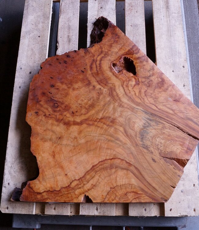 Kampfer Tischplatte, ca. 800 x 700 x 55 mm, 21 kg, 11494