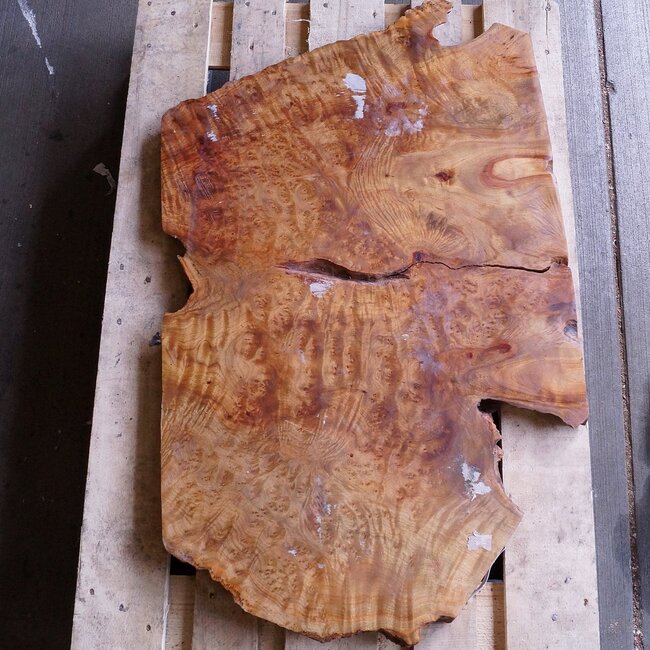 Kampfer Tischplatte, ca. 1000 x 650 x 30/50 mm, 22 kg, 11501