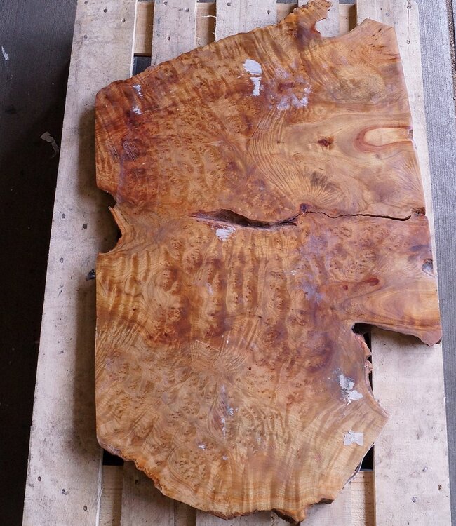 Kampfer Tischplatte, ca. 1000 x 650 x 30/50 mm, 22 kg, 11501