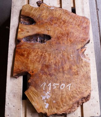 Kampfer Tischplatte, ca. 1000 x 650 x 30/50 mm, 22 kg, 11501