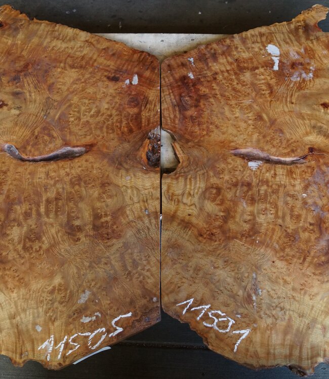 Kampfer Tischplatte, ca. 1000 x 650 x 30/50 mm, 22 kg, 11501