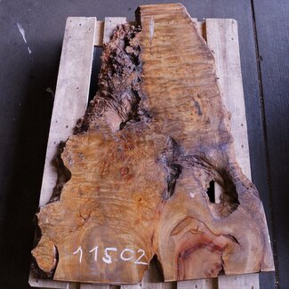 Kampfer Tischplatte, ca. 1200 x 600 x 40/45 mm, 22 kg, 11502