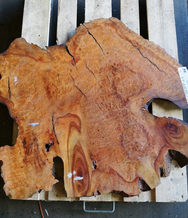 Kampfer Tischplatte, ca. 900 x 850 x 55 mm, 20 kg, 11503