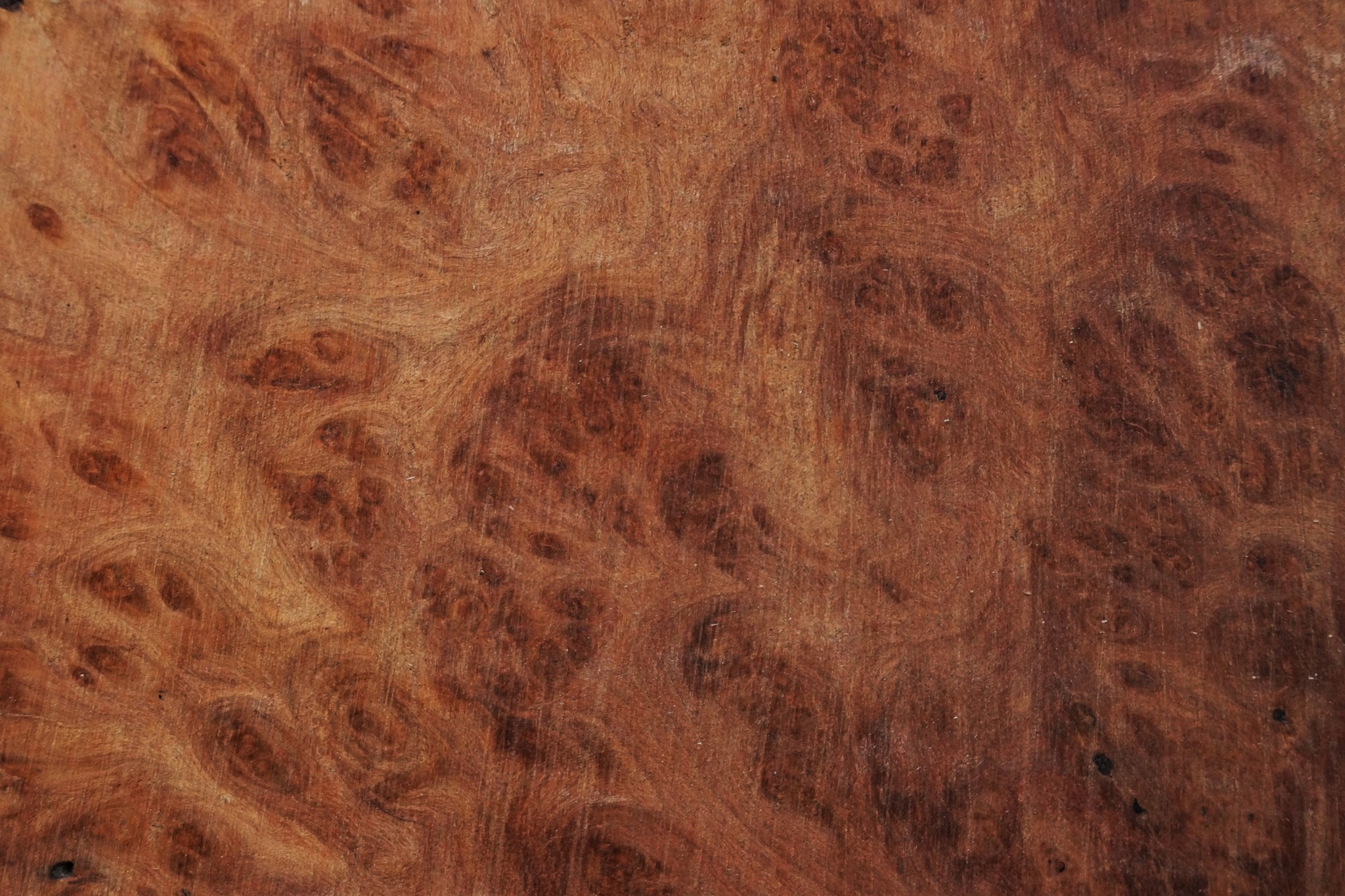 Sindora Burl