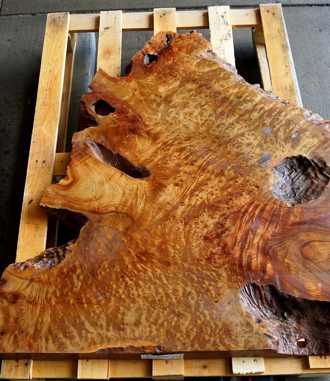 Kampfer Tischplatte, ca. 950 x 750 x 55 mm, 31 kg, 11549