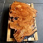 Camphor table top, approx. 1250 x 750 x 55 mm, 36 kg, 11552