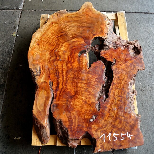 Camphor table top, approx. 1250 x 800 x 53/70 mm, 110 kg, 11553+54