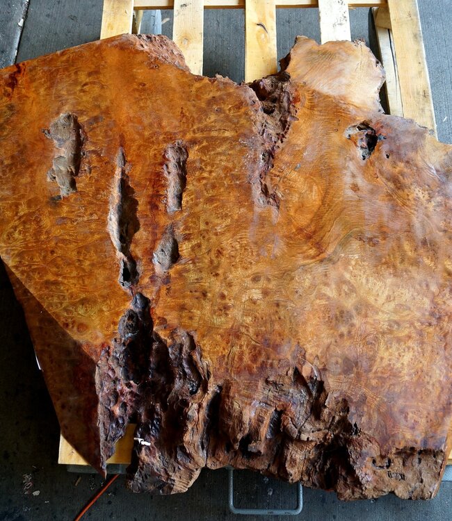 Camphor table top, approx. 1050 x 1000 x 65 mm, 52 kg, 11558