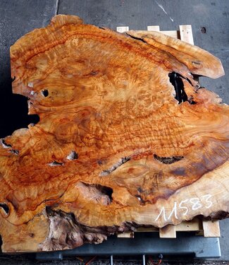 Kampfer Tischplatte, ca. 1200 x 1150 x 50 mm, 53 kg, 11583