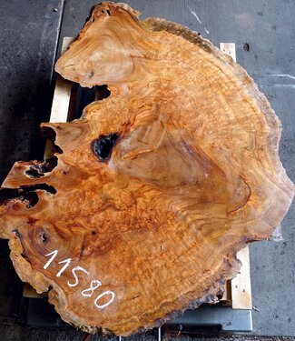 Camphor table top, approx. 1400 x 950 x 45 mm, 38 kg, 11580