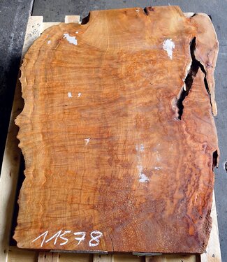 Camphor table top, approx. 1100 x 750 x 50 mm, 39 kg, 11578