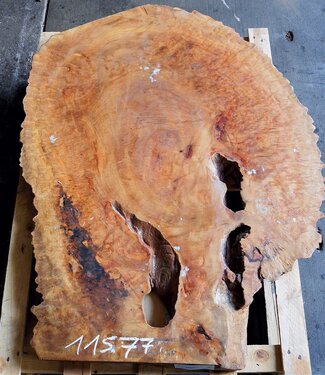 Kampfer Tischplatte, ca. 1200 x 900 x 52 mm, 35 kg, 11577