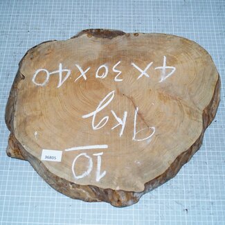 Lagerströmia Maser, ca. 380 x 330 x 40 mm, 4,5 kg