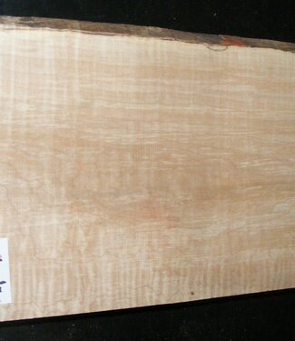 Softmaple Body geriegelt, ca. 556 x 210 x 52 mm 21034