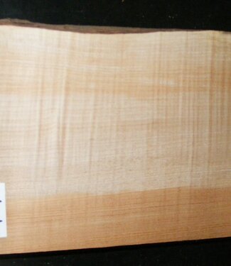 Softmaple Body geriegelt, ca. 558 x 213 x 54 mm 21033