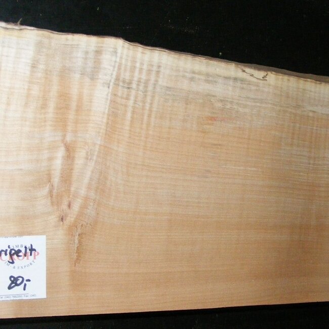 Softmaple Body geriegelt, ca. 547 x 202 x 54 mm