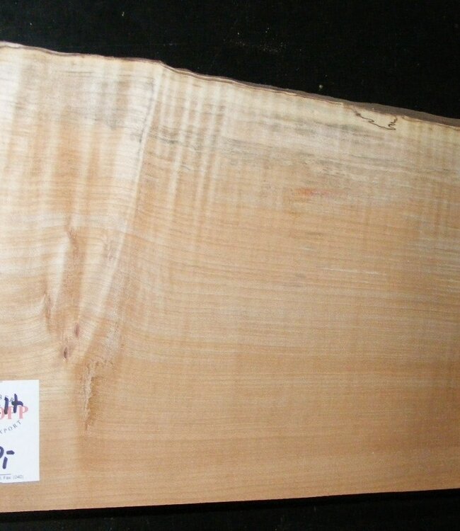 Softmaple Body fiddleback, approx. 547 x 202 x 54 mm 21027
