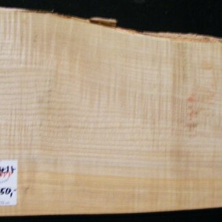 Softmaple Body geriegelt, ca. 554 x 242 x 54 mm 21023