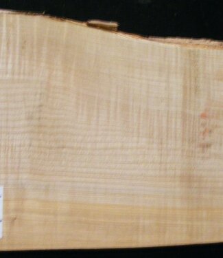 Softmaple Body geriegelt, ca. 554 x 242 x 54 mm 21023