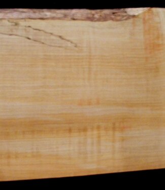 Softmaple Body geriegelt, ca. 559 x 220 x 55 mm 21019