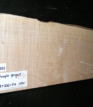 Softmaple Body fiddleback, approx. 558 x 206 x 54 mm 20952