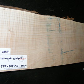 Softmaple Body geriegelt, ca. 557 x 207 x 57 mm 20951