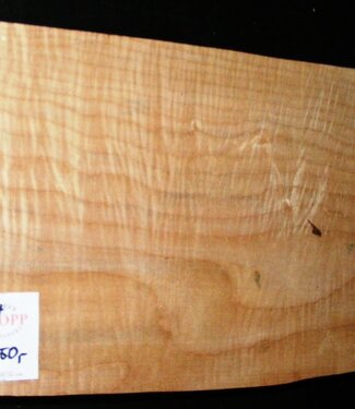 Softmaple Body fiddleback, approx. 553 x 210 x 56 mm 20949