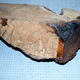 Caniste Burl knot, approx. 390 x 180 x 140 mm, 6,6 kg