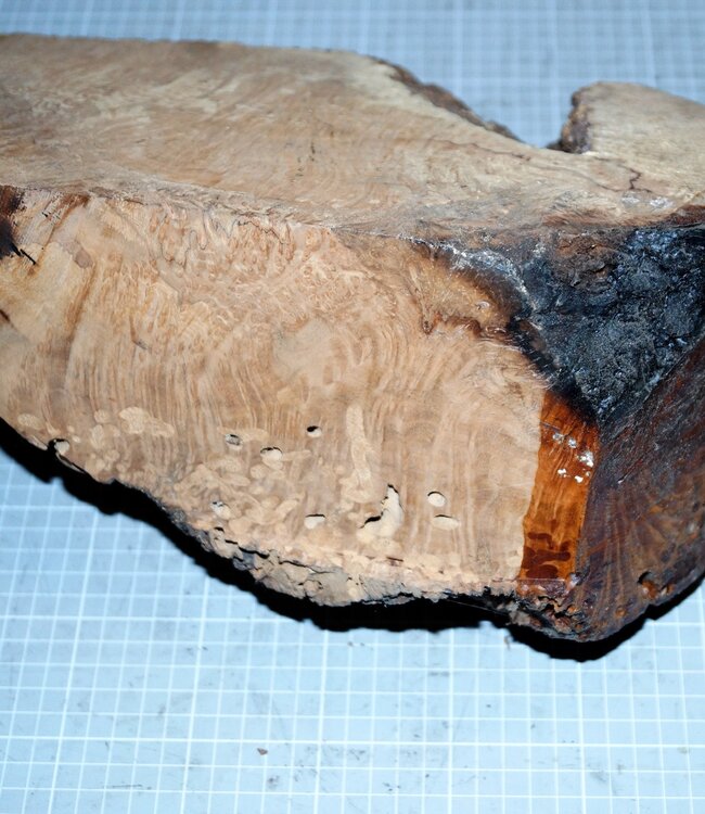 Caniste Maser Knolle, ca. 390 x 180 x 140 mm, 6,6 kg