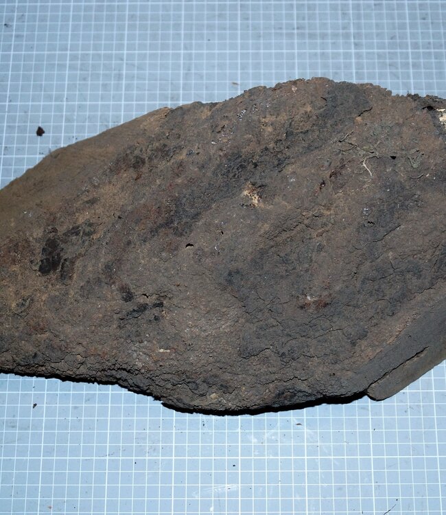 Caniste Burl knot, approx. 390 x 180 x 140 mm, 6,6 kg