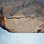 Caniste Burl knot, approx. 390 x 180 x 140 mm, 6,6 kg
