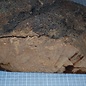 Caniste Burl knot, approx. 390 x 180 x 140 mm, 6,6 kg