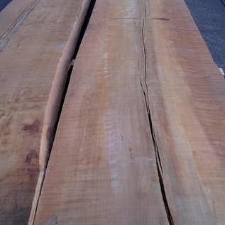 Servicetree fiddleback, 65 mm thick, lumber, 9 boules, ELR-11