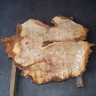 Mappa Burl slab, approx. 1100 x 900 x 60 mm, 40493