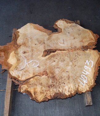 Mappa Burl slab, approx. 1100 x 900 x 60 mm, 40493